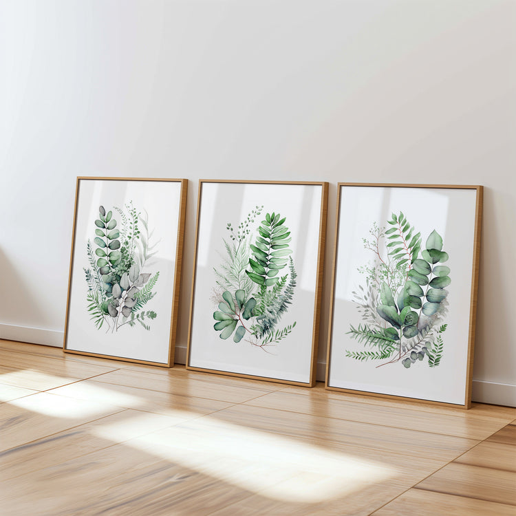 Eucalyptus Leaves II Set of 3 Prints